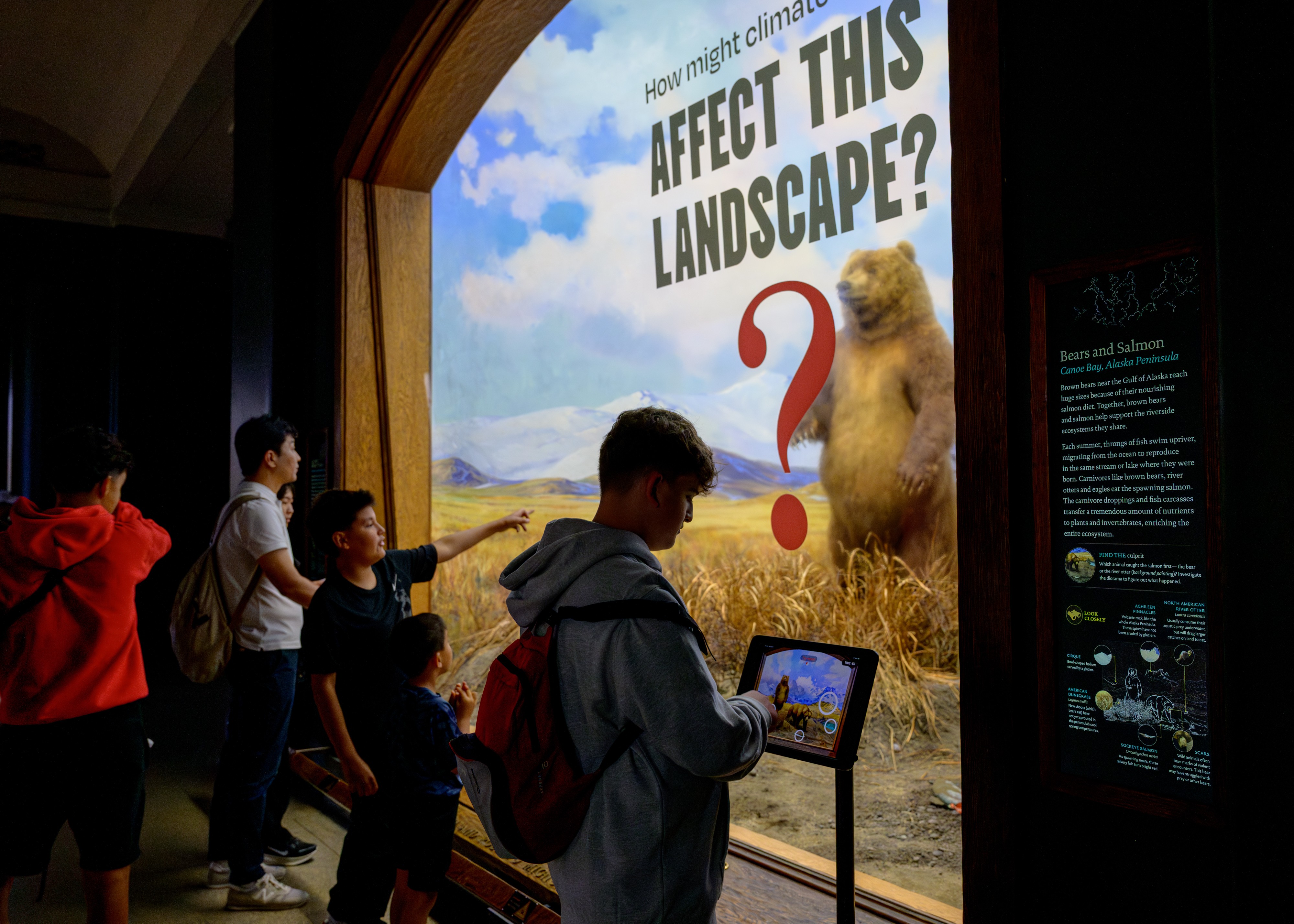 Stationery design of letterhead and business cards for the company Anders on top of a blurred photo of a house interior.