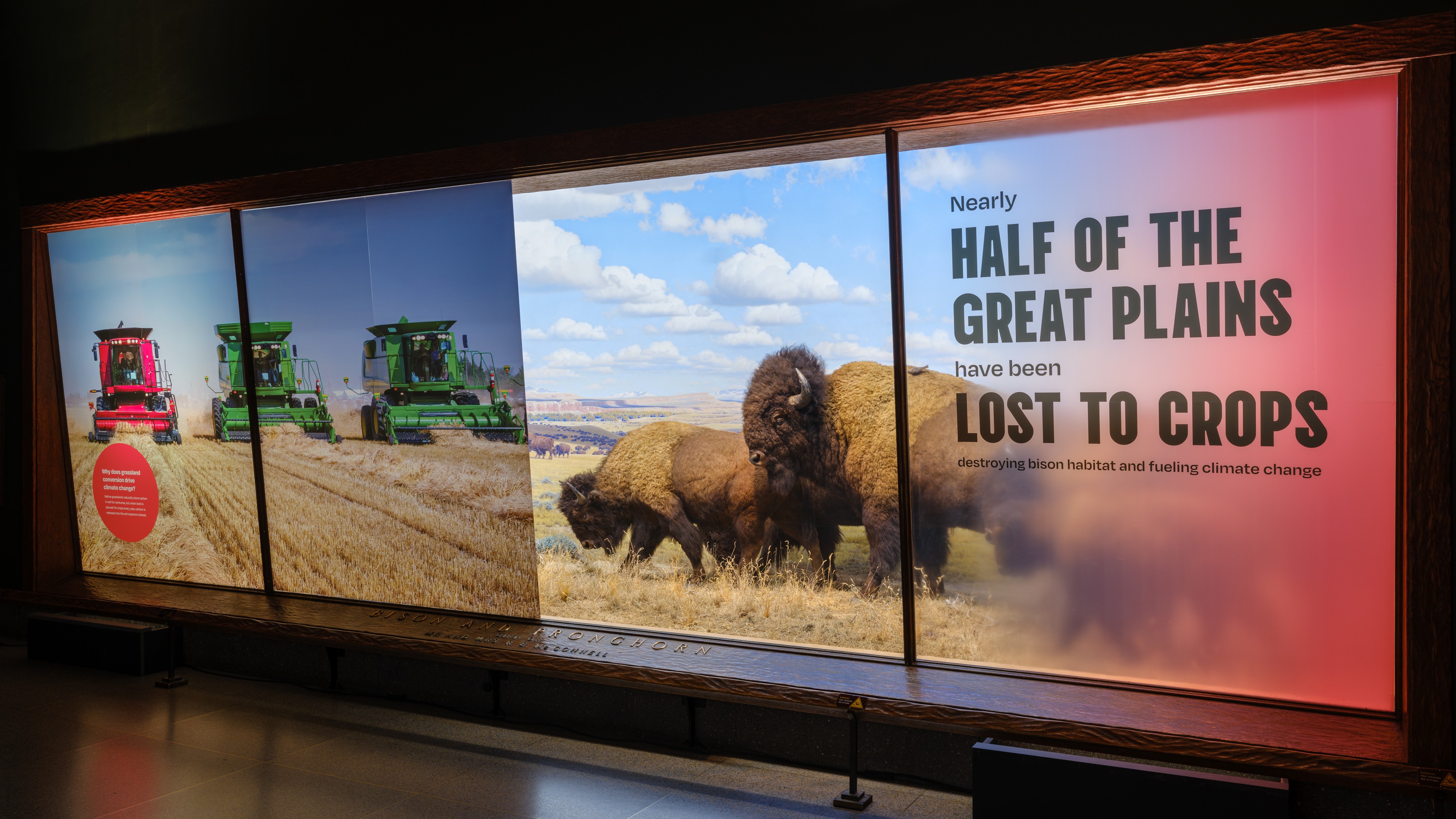 Stationery design of letterhead and business cards for the company Anders on top of a blurred photo of a house interior.