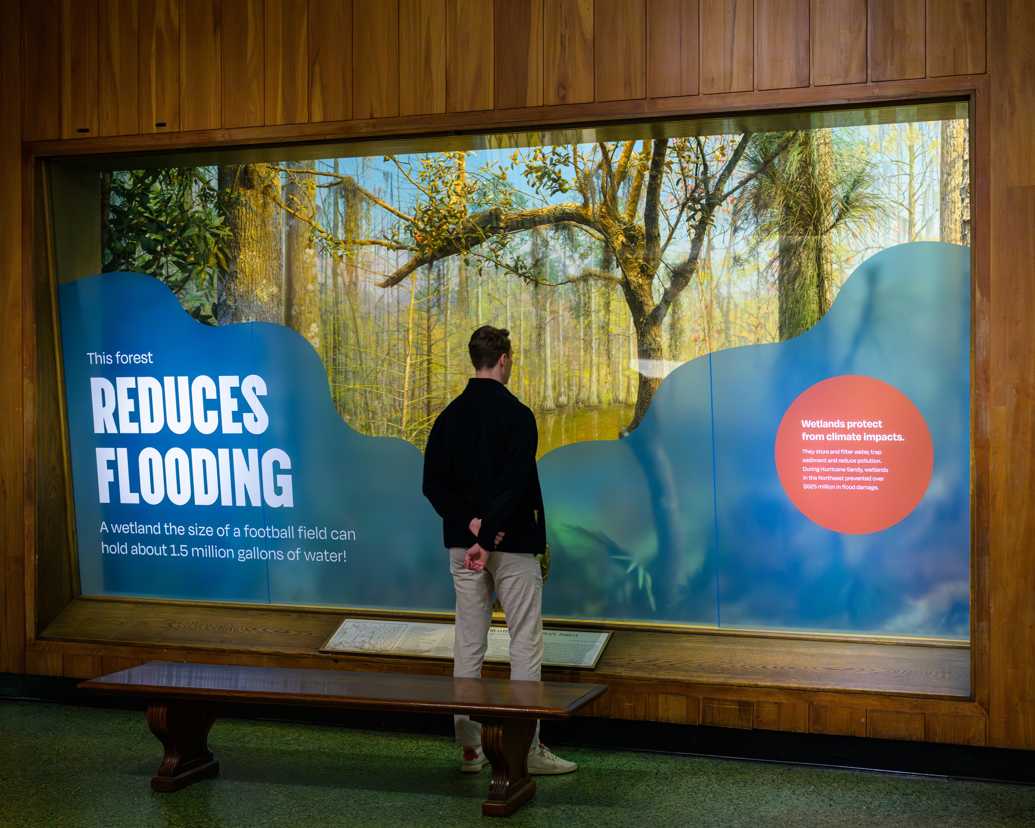 Stationery design of letterhead and business cards for the company Anders on top of a blurred photo of a house interior.