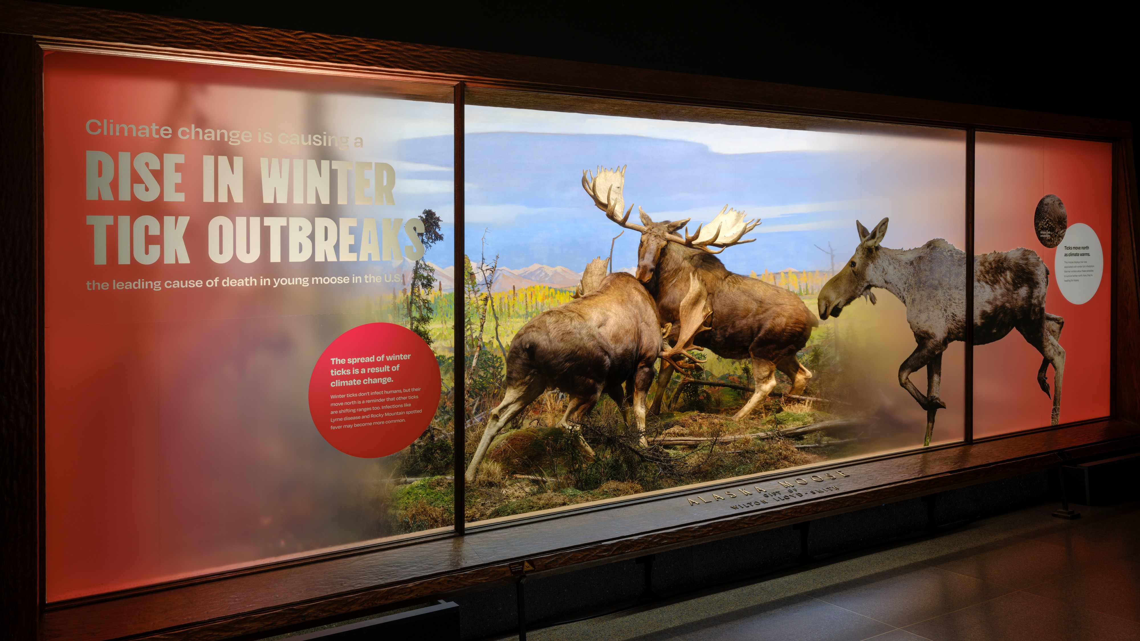 Stationery design of letterhead and business cards for the company Anders on top of a blurred photo of a house interior.