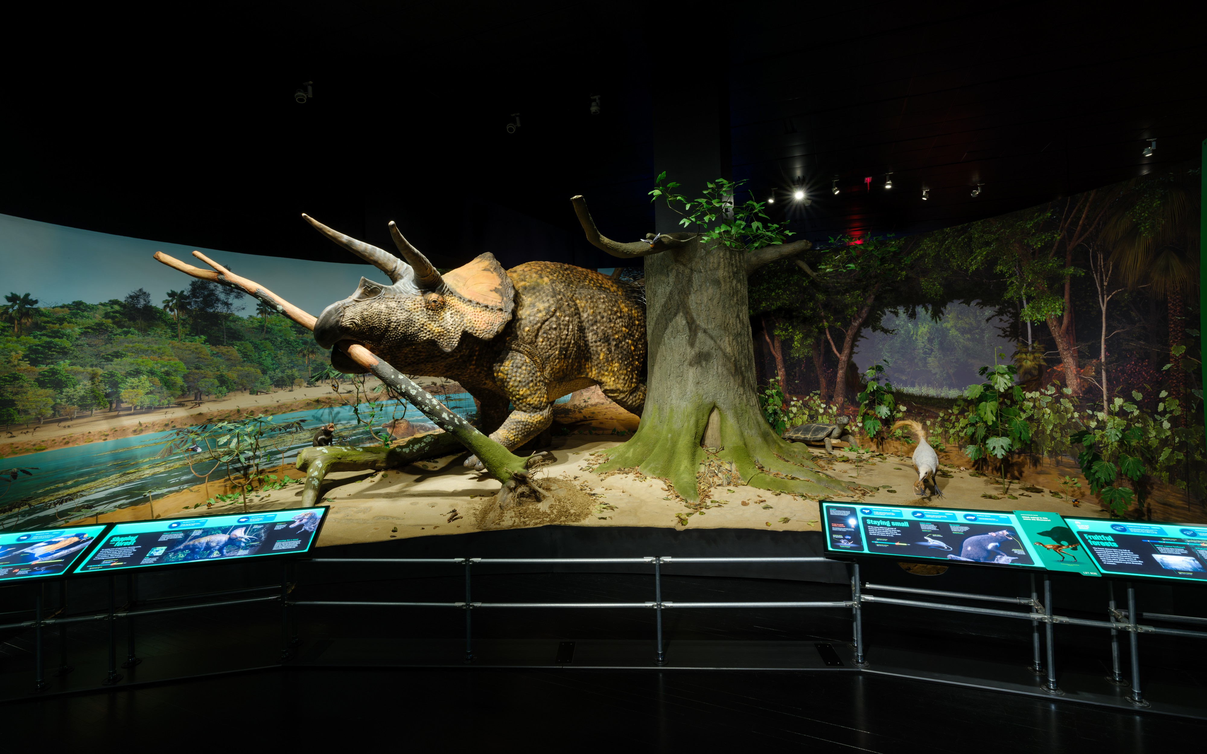 Stationery design of letterhead and business cards for the company Anders on top of a blurred photo of a house interior.